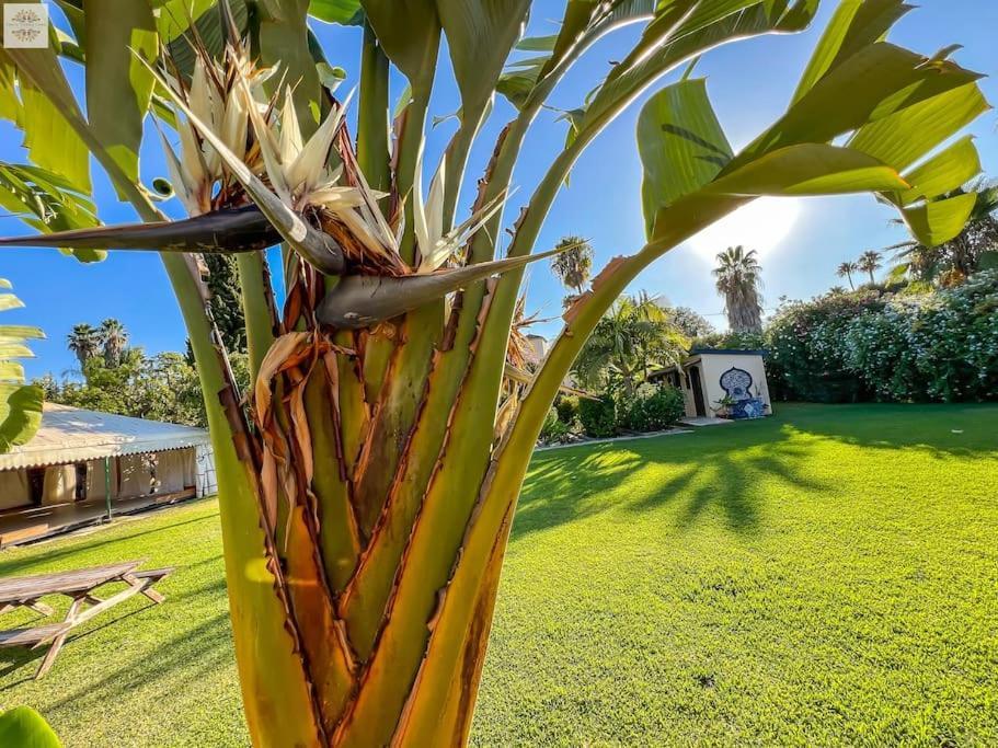 Finca Tierra Sana เอสเตโปนา ภายนอก รูปภาพ