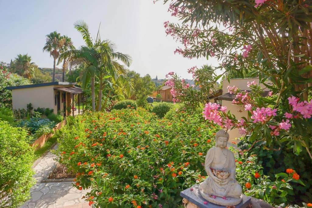 Finca Tierra Sana เอสเตโปนา ภายนอก รูปภาพ
