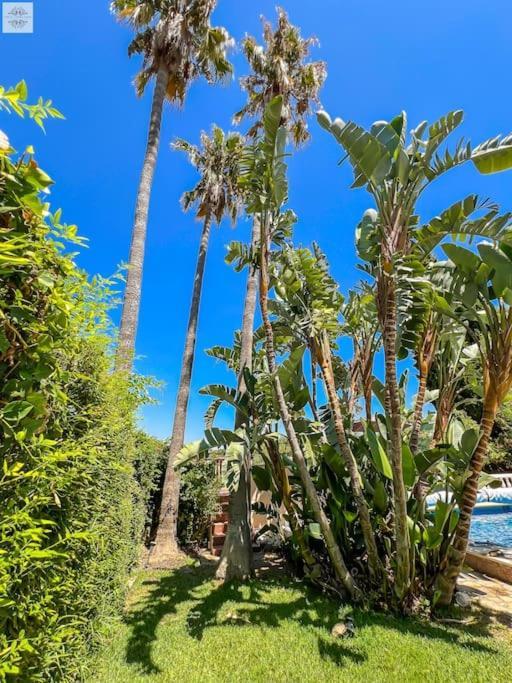 Finca Tierra Sana เอสเตโปนา ภายนอก รูปภาพ
