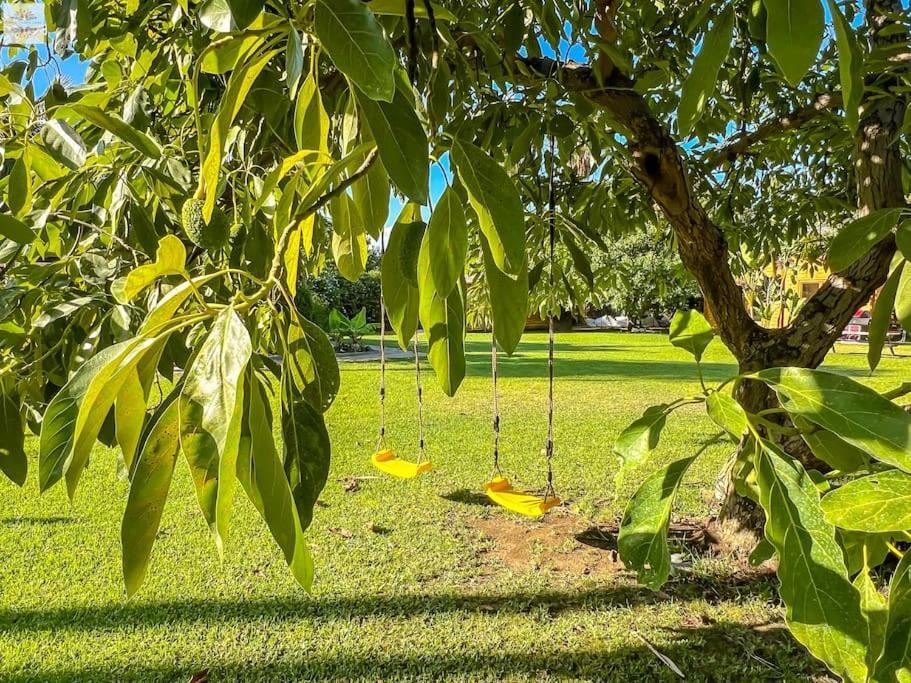 Finca Tierra Sana เอสเตโปนา ภายนอก รูปภาพ