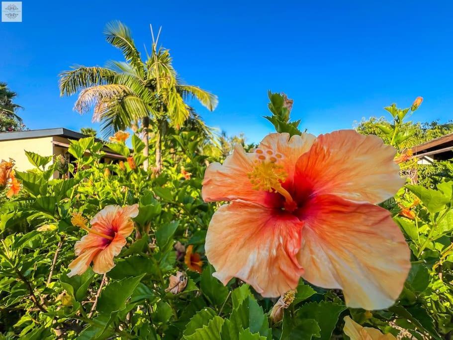 Finca Tierra Sana เอสเตโปนา ภายนอก รูปภาพ